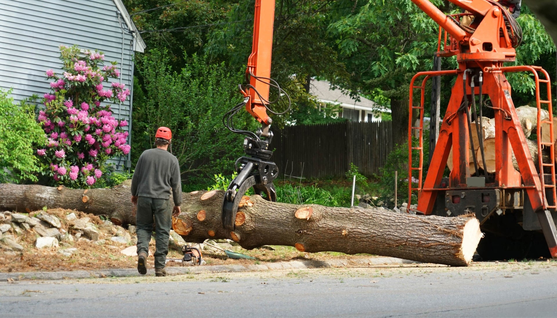 Top rated tree removal services Wichita, Kansas